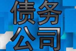 东海岛专业催债公司的市场需求和前景分析